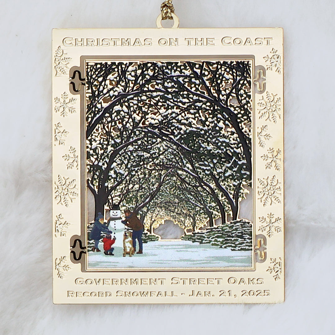 2025 Mobile Ornament - Historic Snowstorm